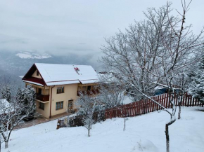 Hotels in Someșu Rece
